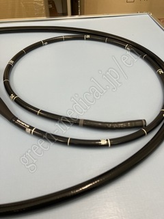 OLYMPUS Video Gastroscope